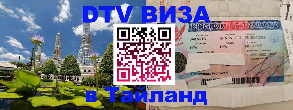 Оформление DTV визы под ключ: стоимость и тарифы, только загранпаспорт - 18.11.2025 